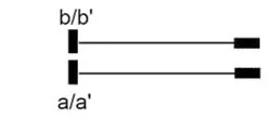 Шнур контрольный типа 2/2, с двумя гнездами d=4мм (6624 2 040-хх), длина 3м 